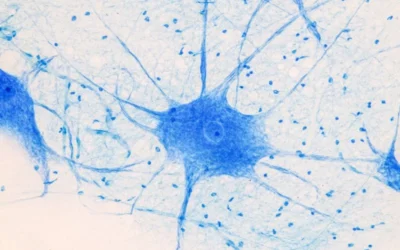 How Neuromodulation Can Relieve Your Diabetic Peripheral Neuropathy